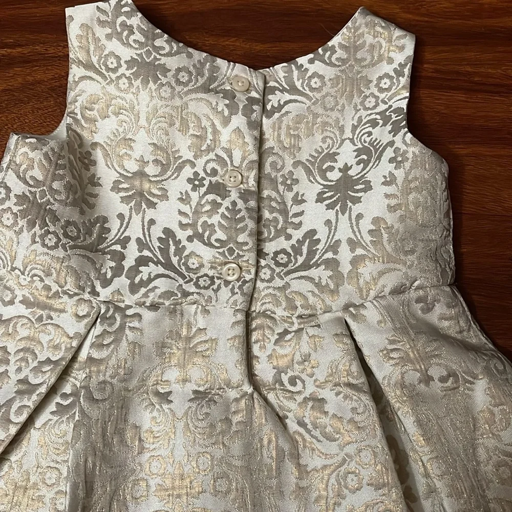 Baby Girl The Childrens Place Dress